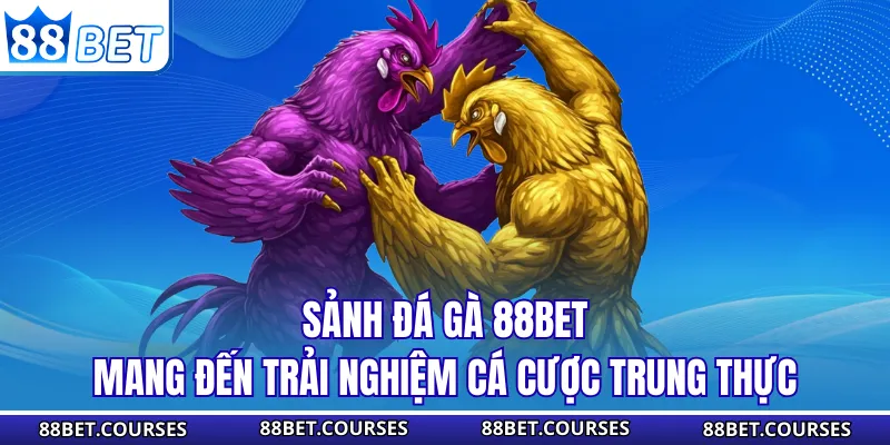 Sảnh đá gà 88BET mang đến trải nghiệm cá cược trung thực